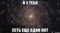 И у тебя Есть еще один кот