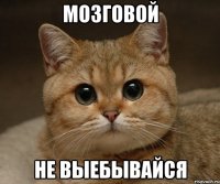 Мозговой не выебывайся