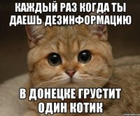 Каждый раз когда ты даешь дезинформацию В Донецке грустит один котик