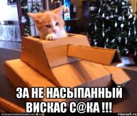  За не насыпанный вискас с@ка !!!