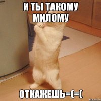 И ты такому милому Откажешь=(=(