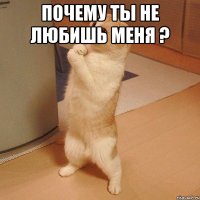 Почему ты не любишь меня ? 