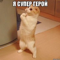 Я СУПЕР ГЕРОЙ 