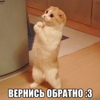  Вернись обратно :3