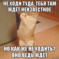 Не ходи туда, тебя там ждёт неизвестное Но как же не ходить? Оно ведь ждёт