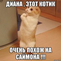 Диана , этот котик очень похож на Саймона !!!