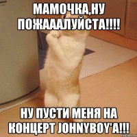 Мамочка,ну пожааалуйста!!!! Ну пусти меня на концерт Johnyboy'a!!!