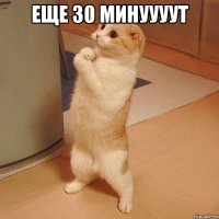 еще 30 минуууут 