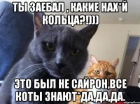 Ты заебал , какие нах*й кольца?!))) Это был не Сайрон,все коты знают*да,да,да.