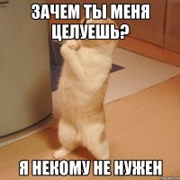 ЗАЧЕМ ты меня целуешь? Я некому не нужен