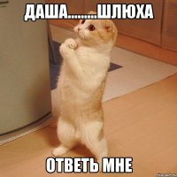 даша………шлюха ответь мне