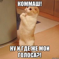 КОММАШ! Ну и где же мои голоса?!