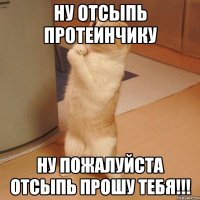 НУ ОТСЫПЬ ПРОТЕИНЧИКУ НУ ПОЖАЛУЙСТА ОТСЫПЬ ПРОШУ ТЕБЯ!!!