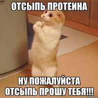 ОТСЫПЬ ПРОТЕИНА НУ ПОЖАЛУЙСТА ОТСЫПЬ ПРОШУ ТЕБЯ!!!