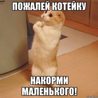 Пожалей котейку Накорми маленького!