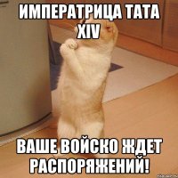 ИМПЕРАТРИЦА ТАТА XIV ВАШЕ ВОЙСКО ЖДЕТ РАСПОРЯЖЕНИЙ!