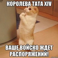 КОРОЛЕВА ТАТА XIV ВАШЕ ВОЙСКО ЖДЕТ РАСПОРЯЖЕНИЙ!