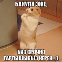 Бакуля эже, биз срочно тартышыбыз керек...((