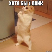 Хотя бы 1 лайк 