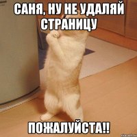 Саня, ну не удаляй страницу пожалуйста!!