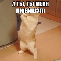 А ты, ты меня любиш?))) 