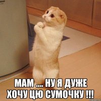  Мам .... Ну я дуже хочу цю сумочку !!!