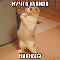 Ну что купили вискас?