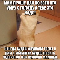 мам прошу даи по ести ато умру с голоду а тебе это надо! кокгда будеш слушоца тогда и дам и мыышэи будеш ловить !!!дорогои мои кулиоця мамина!