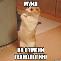 Муил ну отмени технологию