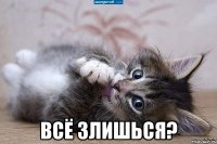  Всё Злишься?