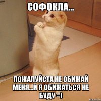 Софокла... пожалуйста не обижай меня...и я обижаться не буду =)