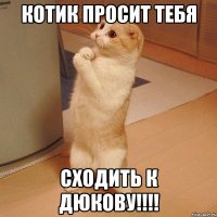 Котик просит тебя сходить к Дюкову!!!!