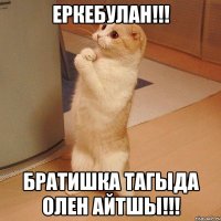 Еркебулан!!! Братишка тагыда олен айтшы!!!