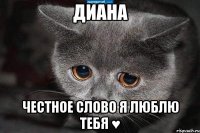 Диана честное слово я люблю тебя ♥