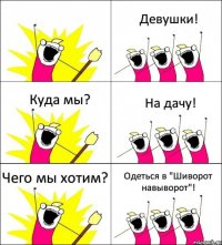  Девушки! Куда мы? На дачу! Чего мы хотим? Одеться в "Шиворот навыворот"!