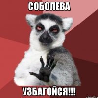 СОБОЛЕВА УЗБАГОЙСЯ!!!