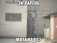 эй, парень мята надо?