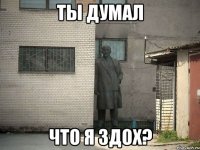 Ты думал что я здох?