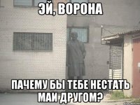 Эй, ворона пачему бы тебе нестать маи другом?