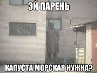 ЭЙ ПАРЕНЬ КАПУСТА МОРСКАЯ НУЖНА?