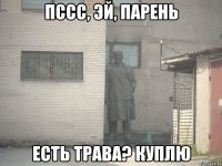 Пссс, эй, парень есть трава? куплю