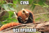 СУКА ВСЕ ПРОПАЛО