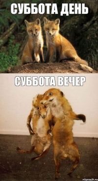 суббота день суббота вечер