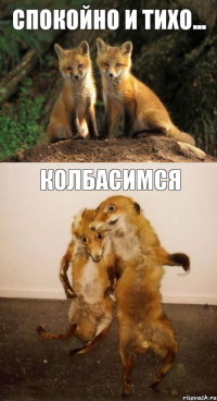 спокойно и тихо... колбасимся