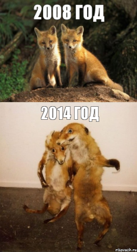 2008 год 2014 год