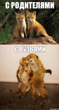 с родителями с рузьями