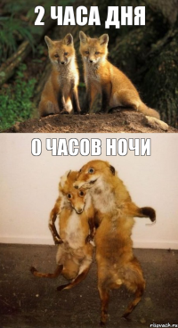 2 ЧАСА ДНЯ 0 ЧАСОВ НОЧИ