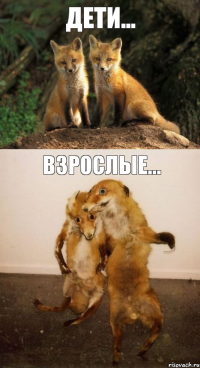 Дети... Взрослые...