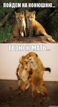 Пойдем на конюшню... Твою ж мать...