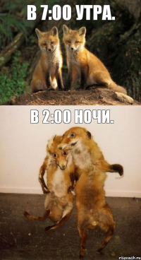 В 7:00 утра. В 2:00 ночи.